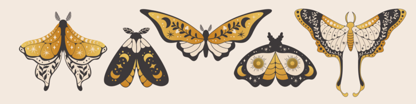 Moon phases with mystical moth and celestial symbols in boho tattoo style. Magical vector illustration with golden crescent moon, butterfly silhouette and esoteric astrology elements for tarot cards.