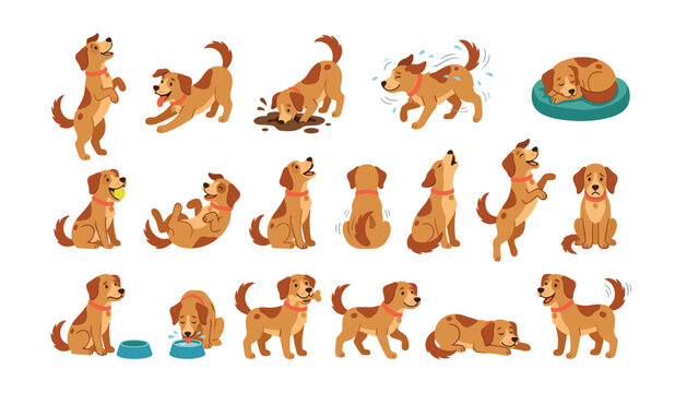 Cute playful brown dog vector bundle showing puppy characters in different poses sleeping running eating and playing flat illustration