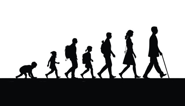 Silhouettes illustrate the human life cycle stages from infancy through childhood and adolescence to adulthood and finally old age in a linear progression sequence on a clean white background.