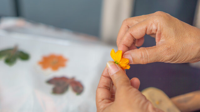 Ecoprint Batik is a batik-making technique that uses natural materials (leaves, flowers, plant stems) to create patterns directly on the fabric.