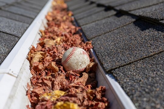 The Baseball Resting Among Autumn Leaves Along a Roof Gutter