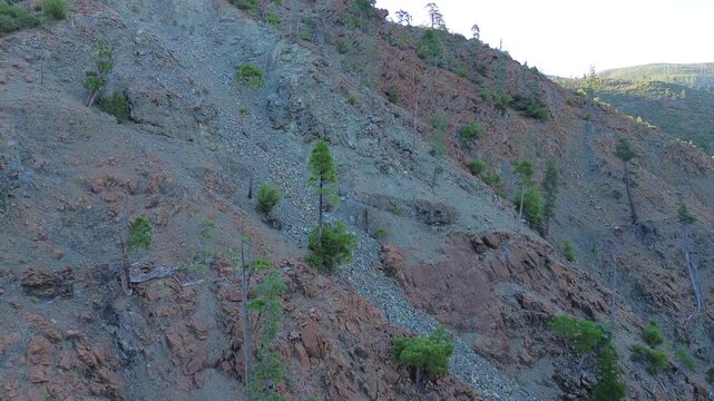 Rising aerial view of a steep rocky hillside sprinkled with spindly pine trees on a summer evening in Southern Oregon.