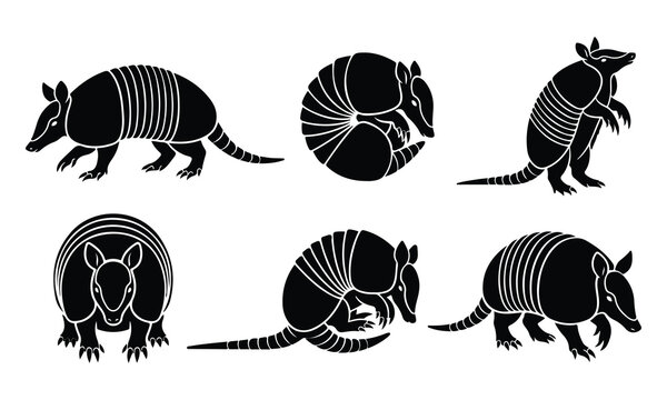 Armadillo silhouette illustrations