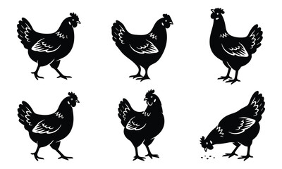 Fototapeta premium Six black silhouette chicken illustrations