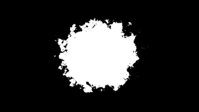 ink transition splatter blot spreading left to right turbulent moving, Ink brush stroke transition. Abstract ink brush slow. ink drop spreading animation, 4k overlay with alpha channel.