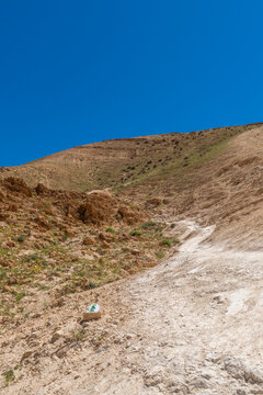 The beautiful desert hiking area near Nahal Rahaf-Rahaf Stream in the Judean Desert in Israel.
