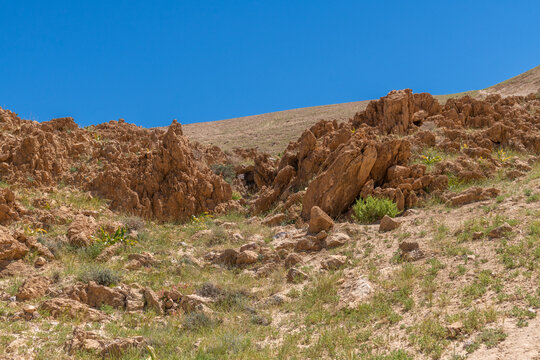 The beautiful desert hiking area near Nahal Rahaf-Rahaf Stream in the Judean Desert in Israel.
