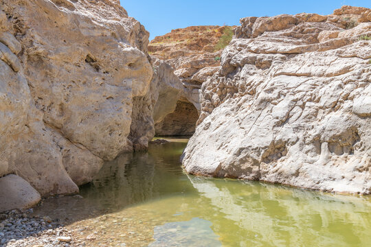 A pool of water near Nahal Rahaf-Rahaf Stream in the Judean Desert in Israel.
