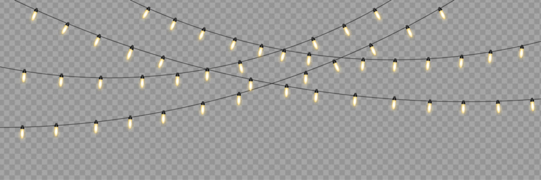 Elegant warm garland overlay vector for festive atmosphere. Glowing string lights isolated on transparent background for Christmas decoration, winter marketing, and celebration media
