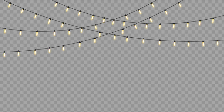 Elegant warm garland overlay vector for festive atmosphere. Glowing string lights isolated on transparent background for Christmas decoration, winter marketing, and celebration media