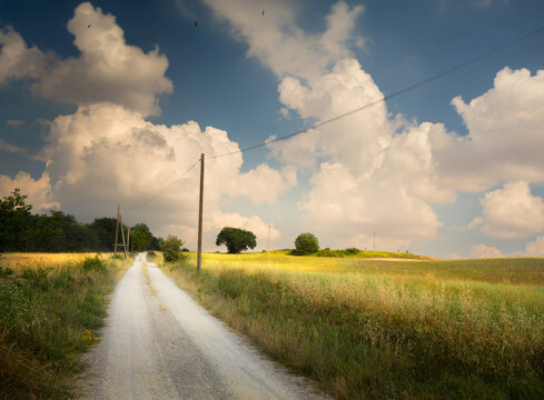 Dirt road through rural Summer countryside field, dramatic cloudy sky landscape at sunset
