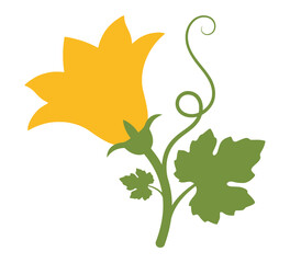 Fototapeta premium Bright yellow squash blossom with green leaves and a curly tendril on a transparent background for botanical illustrations