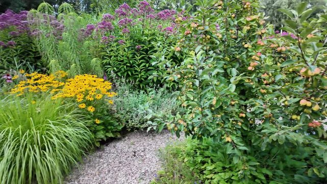 Panoramic view of the beautiful flower garden with blooming flowers in mid-summer on a sunny day.