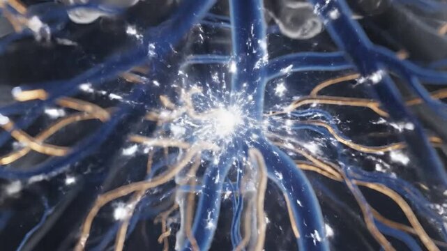 Anatomical visualization of human body network with energy pulse in the solar plexus region