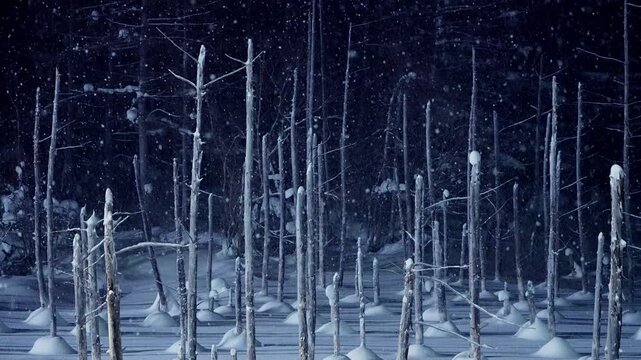 北海道　美瑛青い池ライトアップ