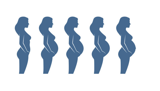 Silhouettes of pregnant women illustrating different stages of pregnancy from early weeks to final trimester of gestation.