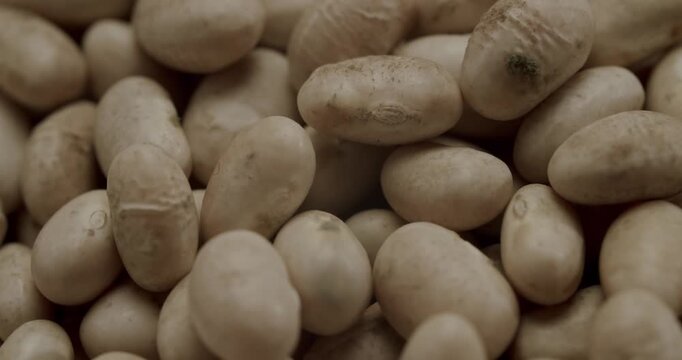 Dry raw white cannellini beans slowly spinning in a close-up view against an isolated white background, showcasing the legumes' texture for healthy, White cannellini beans falling into a bowl.