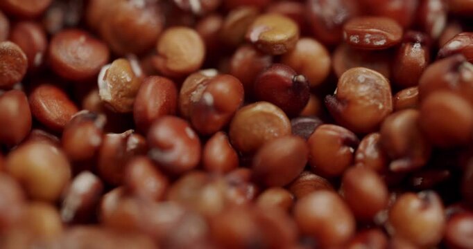 The macro shot highlights the superfood's quality for wholesome nutrition. Extremely detailed macro shot of raw red quinoa seeds cascading in slow motion, Extreme close-up of dry red quinoa seeds