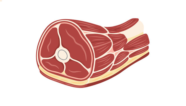 Detailed illustration of a raw ham bone-in meat cut with marbled fat and muscle texture on a white background.