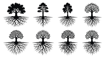 Collection of Diverse Tree Silhouettes with Intricate Root Systems © Soheh