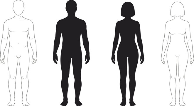 Human body male and female silhouette and outline vector illustration set with full body front view anatomy proportions templates.