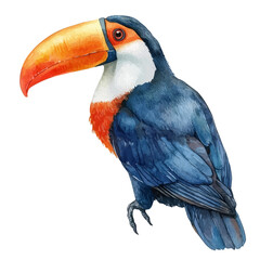 Toucan, illustration watercolor artwork with subtle gradients and elegant contours, isolated on a white background. © lunaris