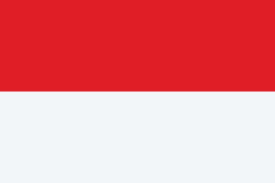Red and white flag design vector