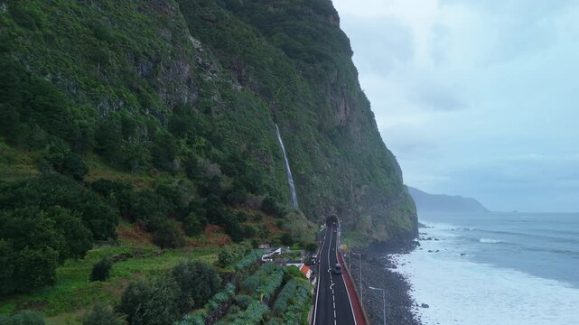Madeira, Seixal, Fanal Forest