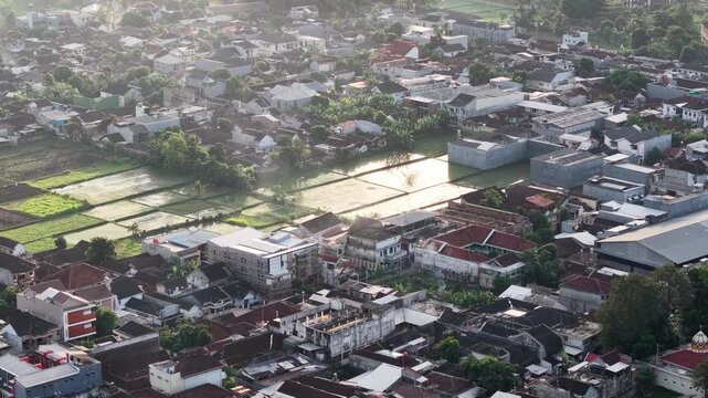 High angle aerial view of a dense residential neighborhood with interspersed rice paddies reflecting sunlight, showing suburban rooftops, narrow streets, and green agricultural plots at the city edge