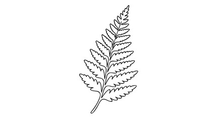 An ornate hand-drawn fern frond in crisp black and white line art, suited for stationery design, environmental awareness campaigns, or biophilic interior graphics. © MDRAISULISIAM