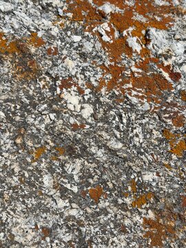 metamorphosed mudstone on rocky shoreline