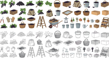 Currant and berry farm harvest agriculture vector element set featuring fresh fruit baskets wooden crates ladders wheelbarrows scales and black outline lineart icons © MdMonirul