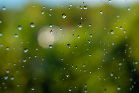 rain drops on the window