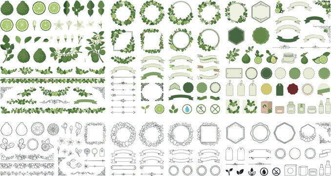 Elegant botanical frames wreaths borders and wedding stationery labels vector element set featuring green leaves ribbons divider lines and matching black lineart outlines