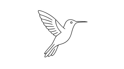 A delicate hummingbird in mid-flight rendered as clean black and white line art, ideal for nature-themed branding, tattoo designs, or botanical illustrations requiring elegant simplicity. © MDRasel