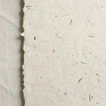Closeup textured view of handmade paper with deckled edge and visible organic inclusions