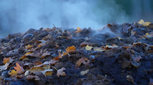 Pile of decomposing leaves and organic matter emits steam in a natural setting, showcasing the process of decomposition and nutrient recycling in the environment