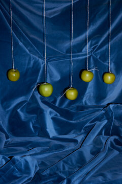 Five Apples Hanging Straight