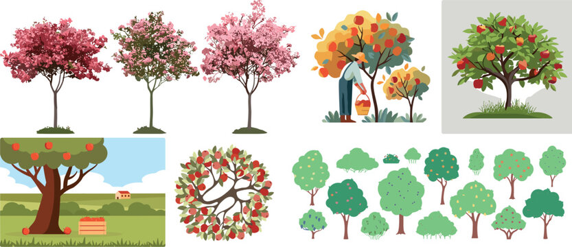 Fruit tree vector collection featuring apple picking harvesting farmers blooming cherry blossoms spring orchards and green garden shrubbery graphic design elements
