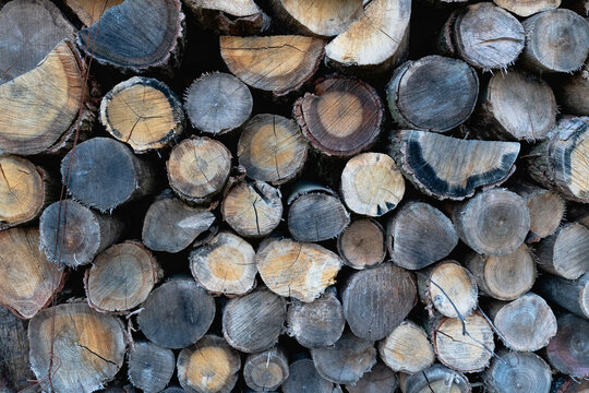 Muted Brown and Grey Earthy Wood Grain Texture Background a Stacked Cut Log Abstract Surface Rich in Organic Detail Suggesting a Tactile Weathered Feel with Limited Copy Space.
