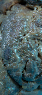 Muted Earthy Blues Grays Soft Focus Abstract Organic Viscous Surface Texture Vertical Background Wet Uneven Topography with Reflective Sheen and Deep Crevices for Design