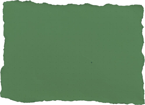 Torn Green Paper Note Memo Background High Quality isolated