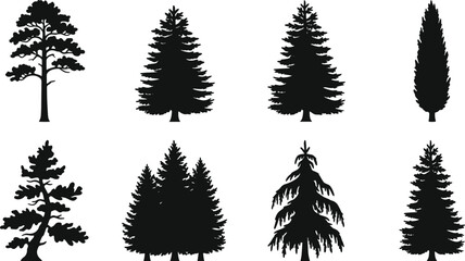 Obraz premium Conifer Tree Silhouette Collection with Evergreen Pine and Cypress Isolated Black Vector Set