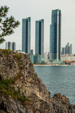 Haeundae Skyline Rising Above Rocky Coast