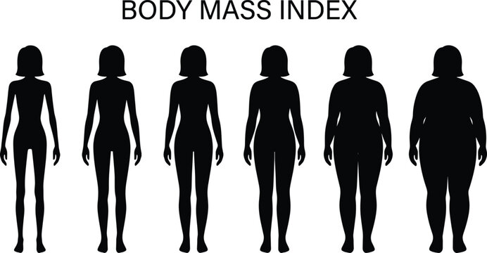 Body mass index chart vector showing female silhouettes from underweight to normal overweight and obese weight types