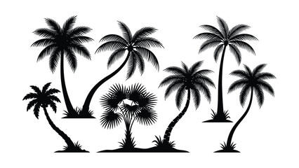 Black silhouettes of various palm trees on white background  tropical plants © Fabuji