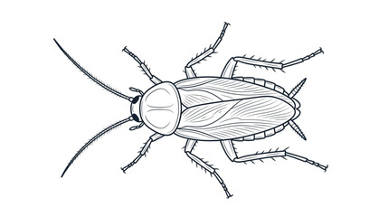 Detailed illustration of a cockroach insect with long antennae and segmented legs. © MndlL