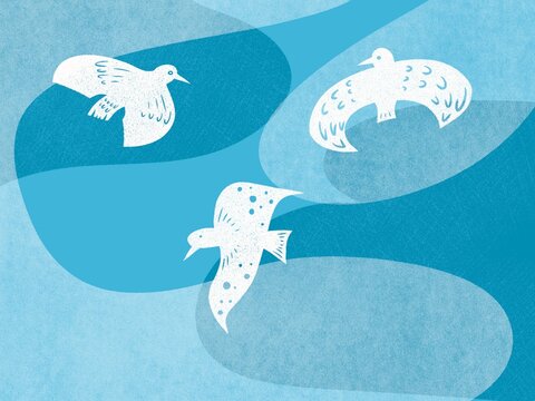Simple birds flying in the sky