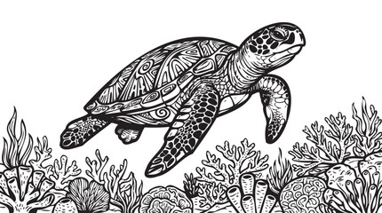 Fototapeta premium Black and white sea turtle, swimming underwater, coral reef scene, vector illustration
