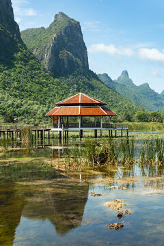 Thung Sam Roi Yot Freshwater Marsh.